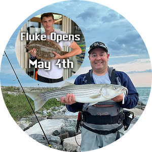 Striped Bass Are In!! • Last Chance For Spring Blackfish-Fluke Ready To Open • Porgies Start May 1st-Weakfish Not Far Behind