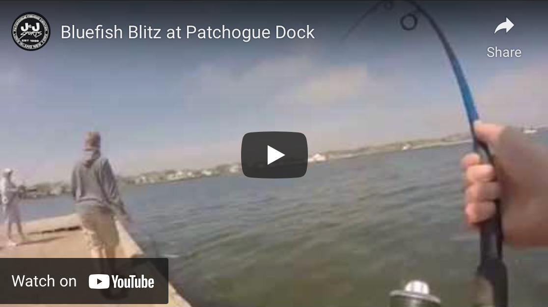 Bluefish Blitz At Patchogue DockView Video J & J Sports Inc.Bait