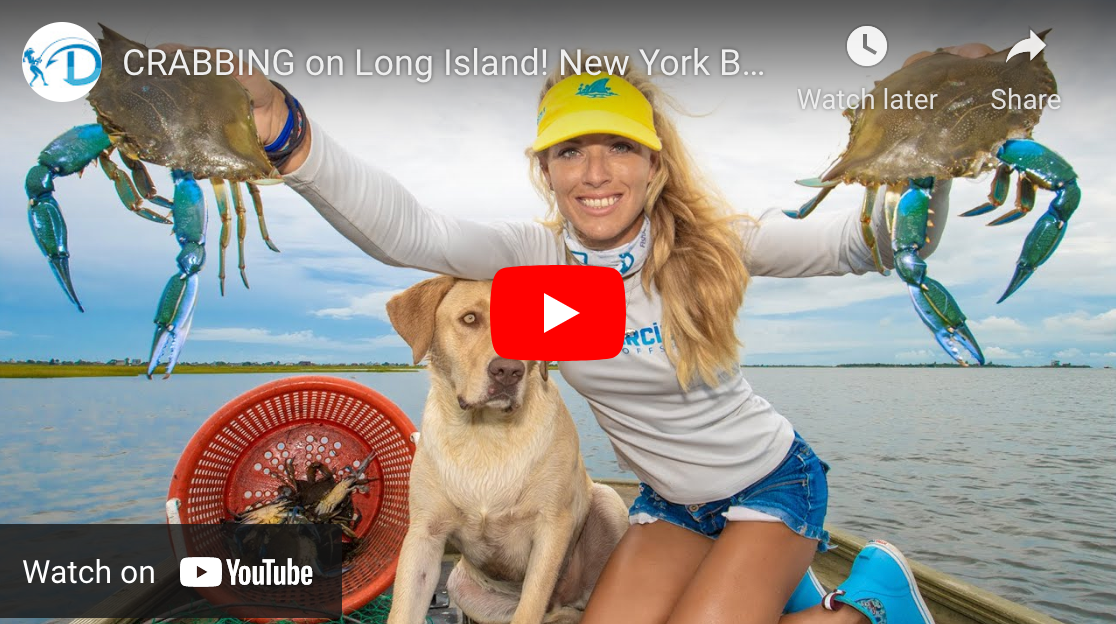 Crabbing on Long IslandView Video J & J Sports Inc.Bait & Tackle
