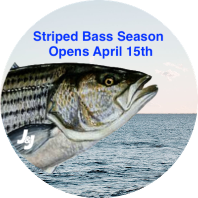 Striped Bass Season Opens Monday April 15th...Trout Stockings Are Fully Underway
