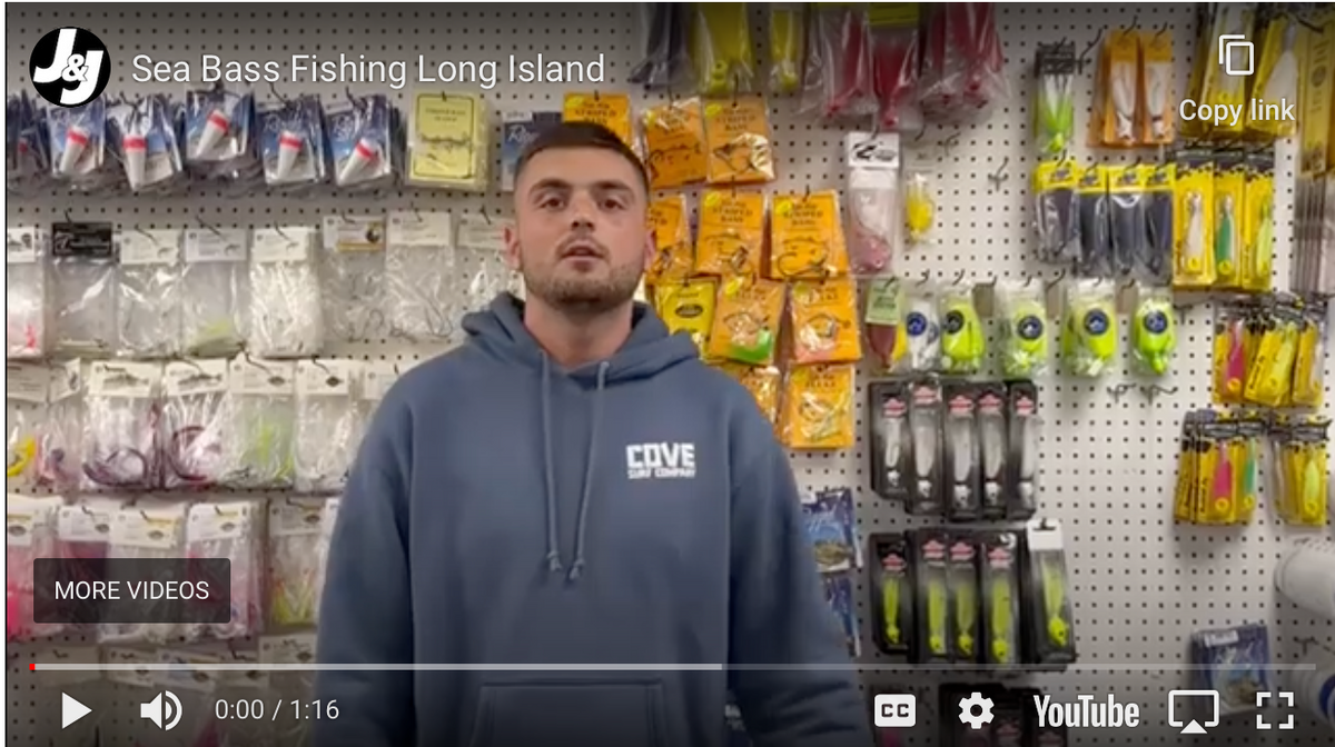 Sea Bass Fishing Long Island J & J Sports Inc.Bait & TackleFishing