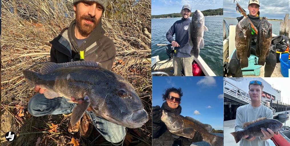 Columbus Day Fishing Forecast  • Striped Bass On The Move •Fluke Closes Soon-Blackfish Set To Open