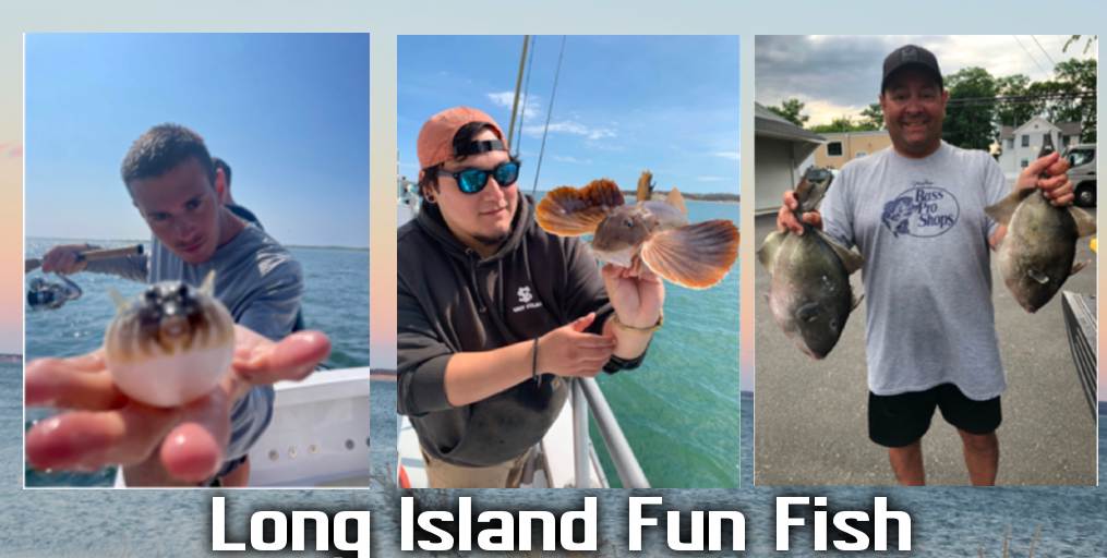 Summer Fun Fish • -Snappers Start!! • Offshore Wrecks Are Hot • Freshwater Lakes Listed • Sharks In The Surf