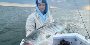 BASS BASS And More BASS • Blackfish Update • Tuna Surprise