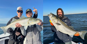 Striped Bass Season Opens Tuesday April 15th...Trout Stockings Are Fully Underway