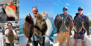 FLUKE REGS CHANGE ON AUGUST 2ND • From Snappers To Tuna • Inshore And Offshore Report • Fish Facts