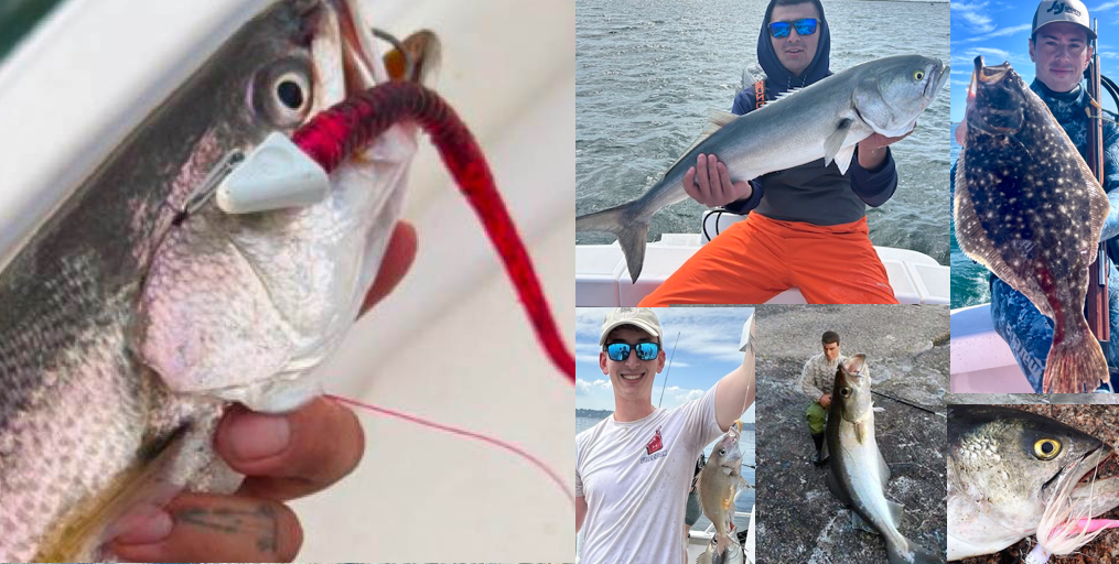Weakfish Show Up!! •  Bluefish On The Grill • Fluke And Porgies Start With A Bang!!• Weekend Update