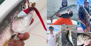 Weakfish Show Up!! •  Bluefish On The Grill • Fluke And Porgies Start With A Bang!!• Weekend Update