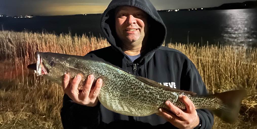 July Fishing Update • Weakfish-Fluke-Sea Bass-Blues and Bass • Blue Claw Crabs • "Take A Vet Fishing" • It's Tuna Time