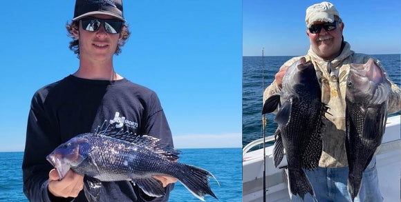 JUNE SEA BASS SEASON...Local Fishing Is Spectacular • Get Ready For Sea Bass • Blowfish & Kingfish Make A Showing • Freshwater Fishing Update • Fish Facts
