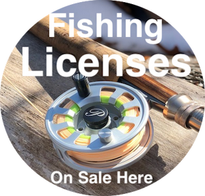 New York Saltwater FISHING REGISTRATION...It's FREE ...Sign up NOW!!!  • Freshwater Licenses Also Available