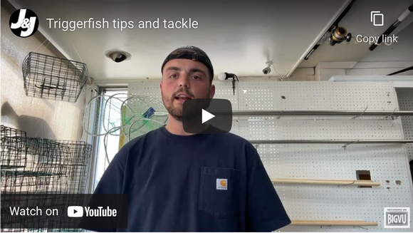 Triggerfish Tips And Tackle-View Video