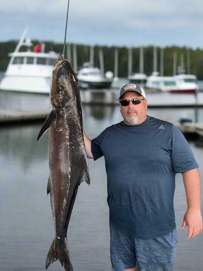 '2025 Cobia Have Been Spotted In The Local Waters Around Long Island-Current Regulations