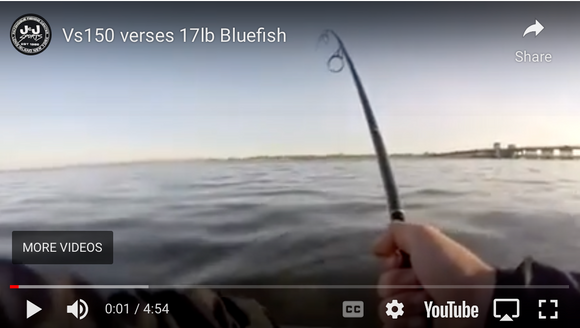Van Staal VS150 Verses 17lb Bluefish