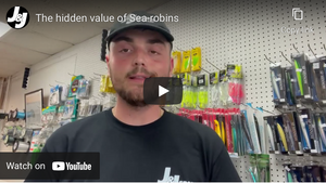 The Hidden Value Of Sea-Robins-View Video