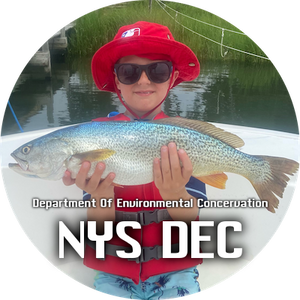 Sights and sounds of the NYS DEC • NYS DEC LINKS • Reefs • Access Info and More.........