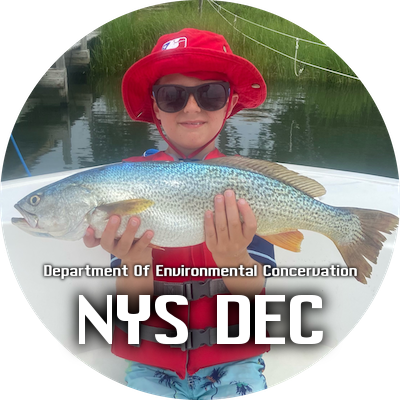 Sights and sounds of the NYS DEC • NYS DEC LINKS • Reefs • Access Info and More.........