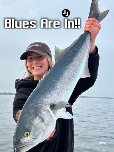 '2025 Bluefish Are In!!!  What To Know