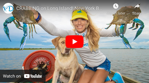 Crabbing on Long Island-View Video
