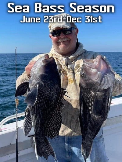 Sea Bass Season Opens June 23rd• What you need to know