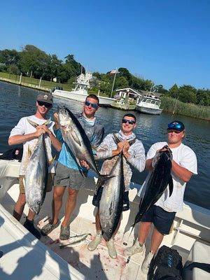 It's Tuna Time For Long Islanders