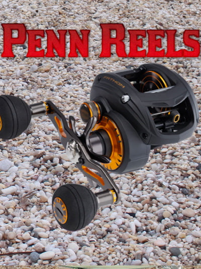 Low Profile Baitcaster Reels