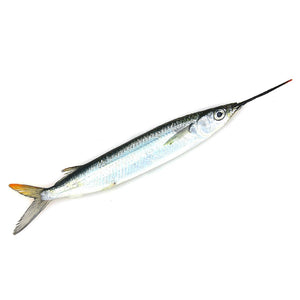 Bait Products