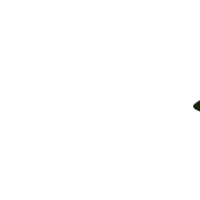 Bait Products