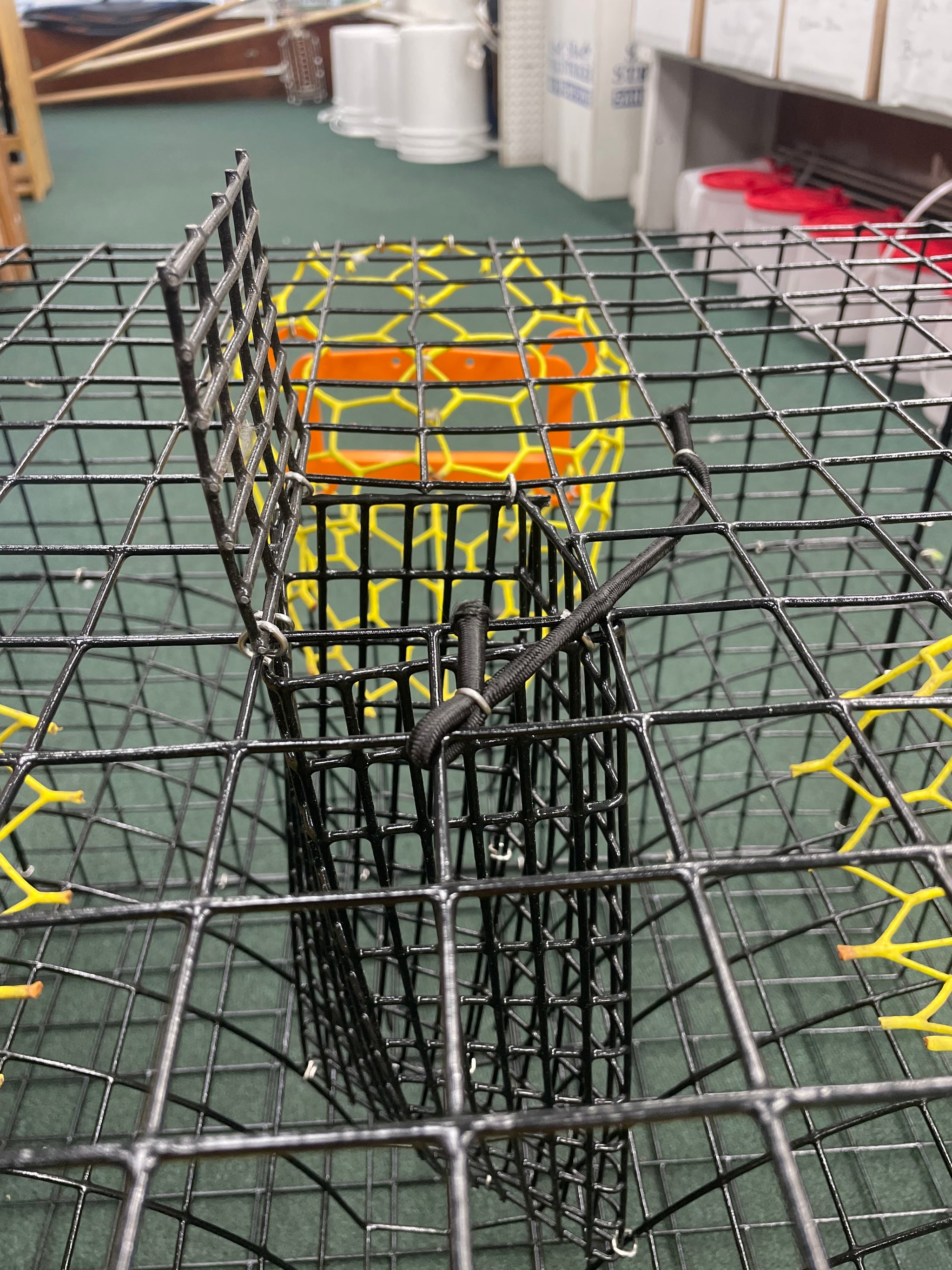 Vinyl Coated Over Night 2 Door Crab Trap 18\, image size:2048x2731