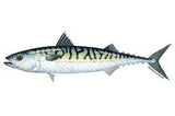 Bait Products
