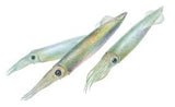 Bait Products