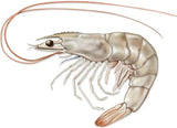 Bait Products - J & J Sports Inc.-Bait & Tackle-Fishing Long Island
