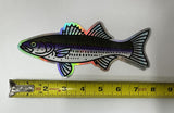Holographic Striped Bass Decal