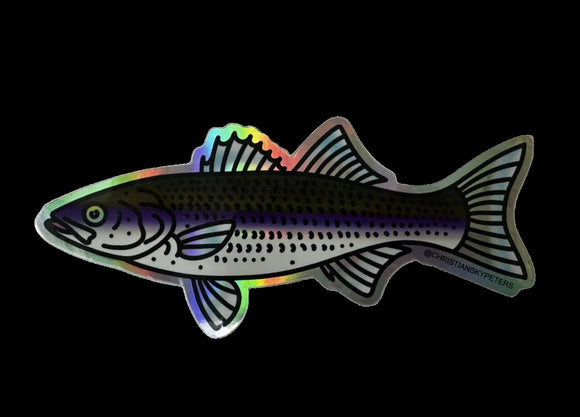 Holographic Striped Bass Decal