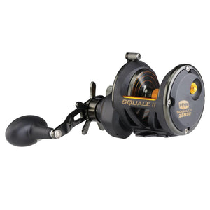 Penn Squall II 25NSD Star Drag Conventional Reel – J & J Sports Inc.-Bait &  Tackle-Fishing Long Island