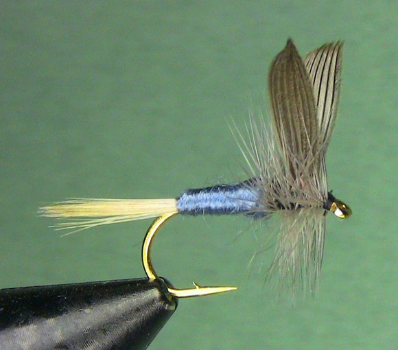 Blue Dun ( Size 12)